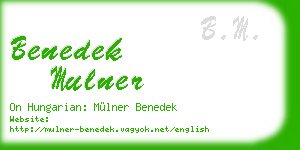 benedek mulner business card